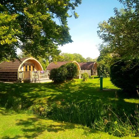 Campsie Glen Holiday Park Fintry Екстериор снимка