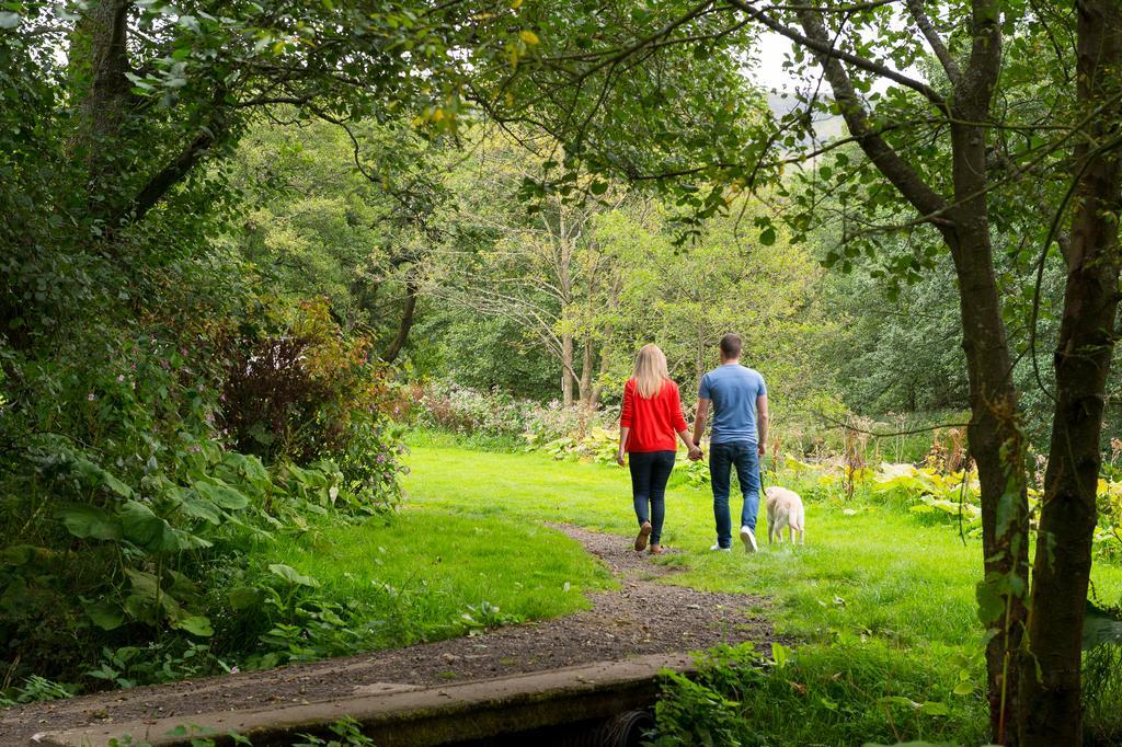 Campsie Glen Holiday Park Fintry Екстериор снимка