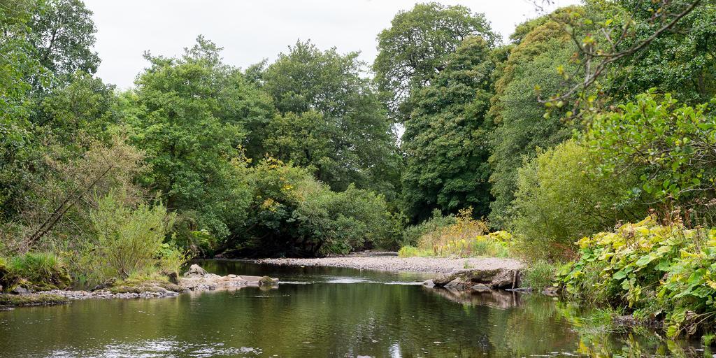 Campsie Glen Holiday Park Fintry Екстериор снимка